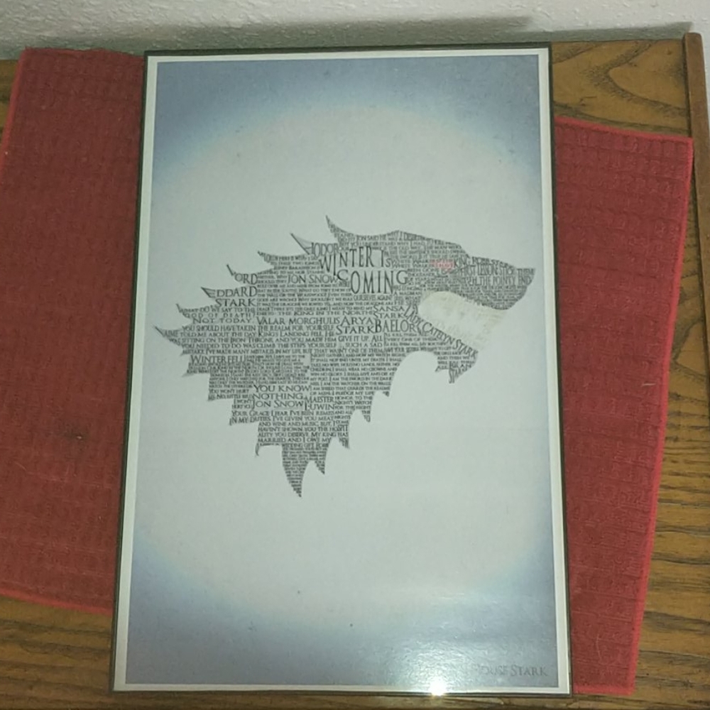 Game of Thrones House Stark wall hanger